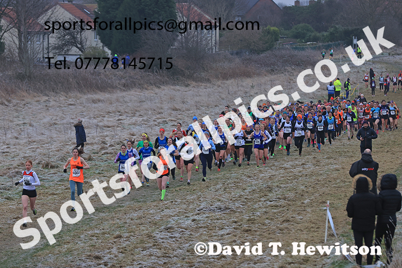 Senior womens 2025 Start Fitness NEHL, Wrekenton, Gateshead. Photo: David T. Hewitson/Sports for All Pics
